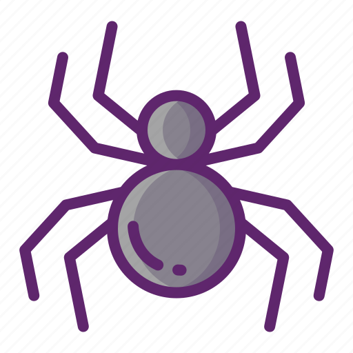 Spider, bug, insect, animal icon - Download on Iconfinder
