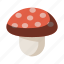 mushroom, psychadelics, shroom, fungi, fungus 