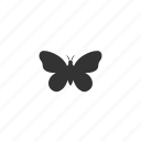 butterfly, fly, biology, beauty, nature, illustration, insect, conservation, antennas, organism, wings 