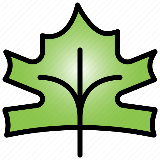 Maple, leaf, tree, nature icon - Download on Iconfinder