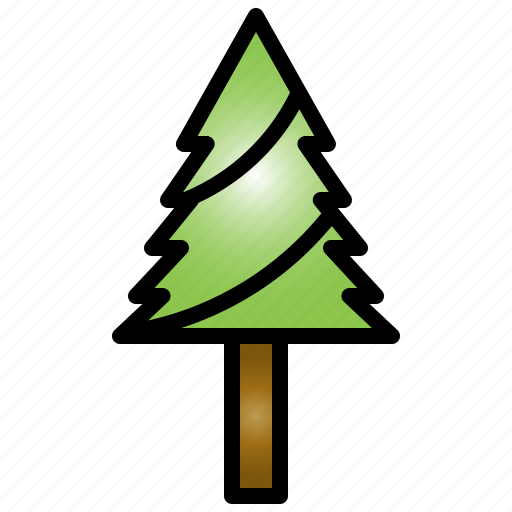 Pine, tree, forest, park, nature, outdoor icon - Download on Iconfinder