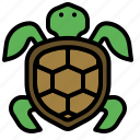 nature, turtle, animal, tortoise, pet, ocean