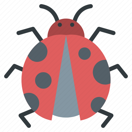 Nature, ladybug, insect, bug, spring, animal icon - Download on Iconfinder