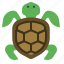 nature, turtle, animal, tortoise, pet, ocean 