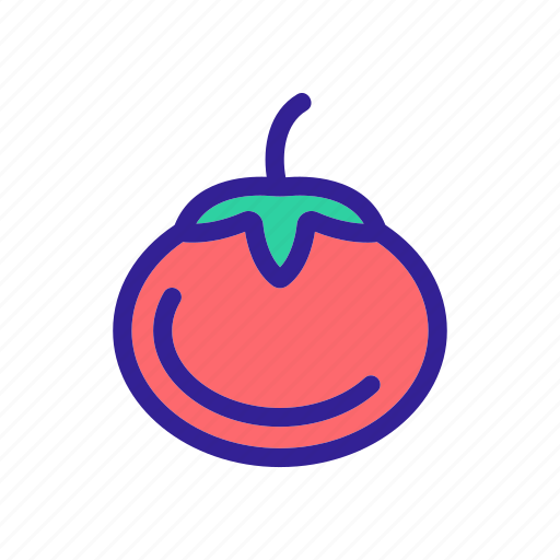 Contour, food, fruit, tomato, vegetable icon - Download on Iconfinder