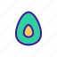 art, avocado, color, contour, drawing, fruit 