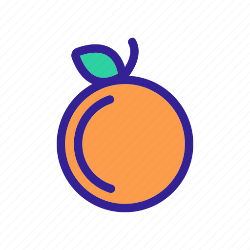 Apple, contour, fruit, linear icon - Download on Iconfinder