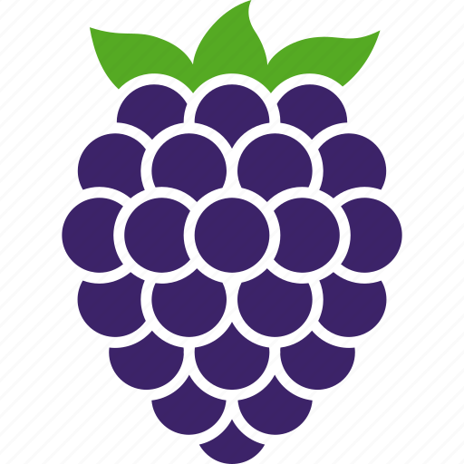 Berry, blackberry, food, fruit, organic, raspberries, rosaceae icon - Download on Iconfinder