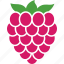 berry, food, fruit, organic, raspberries, raspberry, rubus 