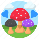 mushroom, vegetable, landscape, nature, love, ecology