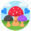 mushroom, vegetable, landscape, nature, love, ecology 