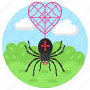 spider, web, heart, landscape, nature love, insect