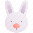 bunny, rabbit, mammal, animal, wildlife, nature