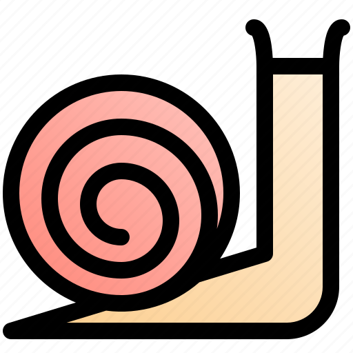 Snail, animal, slow, wildlife, shell, slime icon - Download on Iconfinder