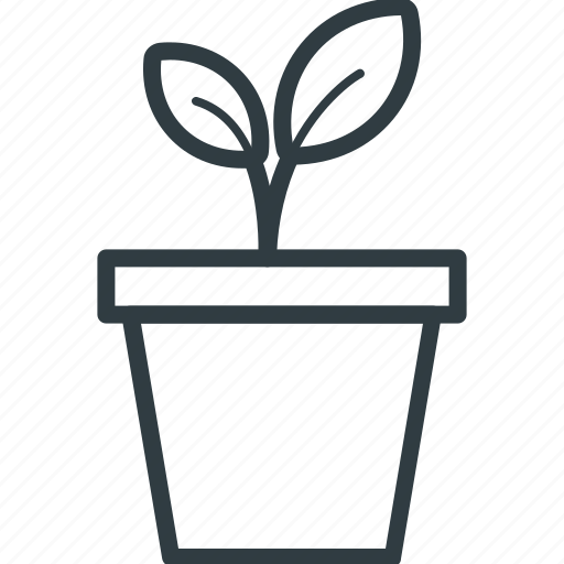 Flowering plant, greenery, nature, plant, plant pot icon - Download on Iconfinder