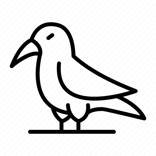 Bird, flying, nature, beak icon - Download on Iconfinder