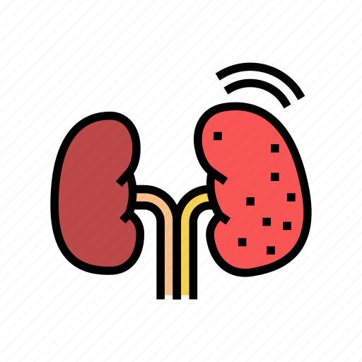 Cancer, kidney, nephritis, stones, infection, cyst icon - Download on Iconfinder