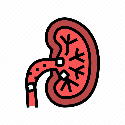 Kidney, stones, cancer, bloody, urine, frequent icon - Download on Iconfinder