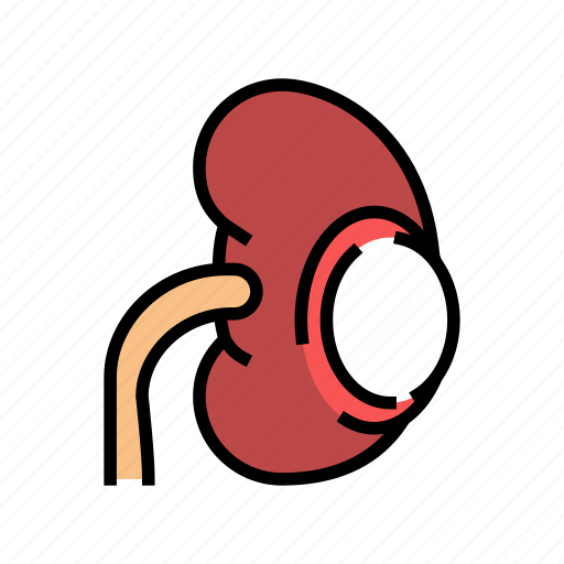 Renal, cyst, cancer, bloody, urine, frequent icon - Download on Iconfinder