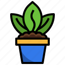 plant, pot, botanic, gardening, leaves