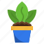 plant, pot, botanic, gardening, leaves 