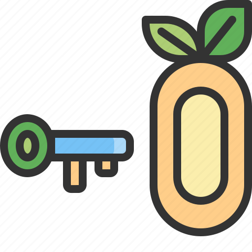 Key, net, zero, leaf, green, carbon, solution icon - Download on Iconfinder
