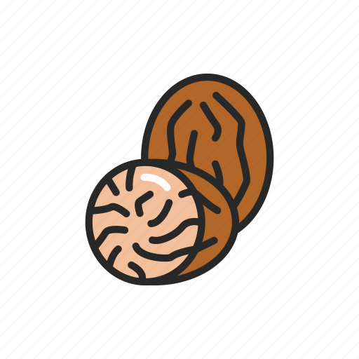 Cedar, nut, food icon - Download on Iconfinder on Iconfinder