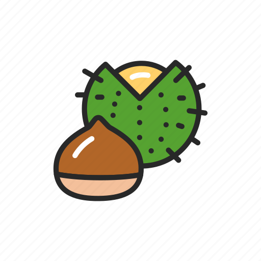Chestnut, nut, food, healthy icon - Download on Iconfinder