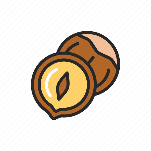 Hazelnut, nut, food, healthy icon - Download on Iconfinder