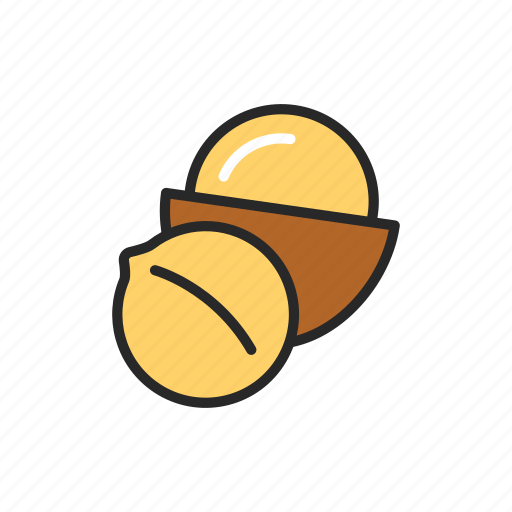 Macadamia, nut, food icon - Download on Iconfinder