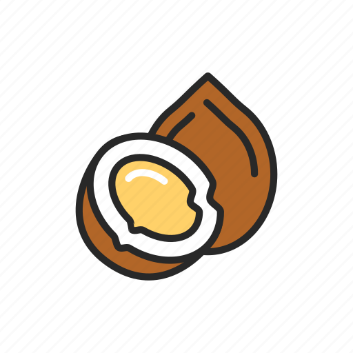 Nut, food, healthy, coconut icon - Download on Iconfinder
