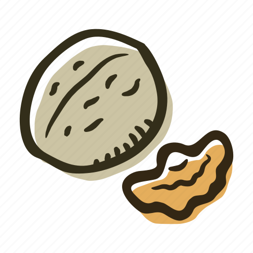 Food, healthy, nut, protein, snack, nuts, walnut icon - Download on Iconfinder