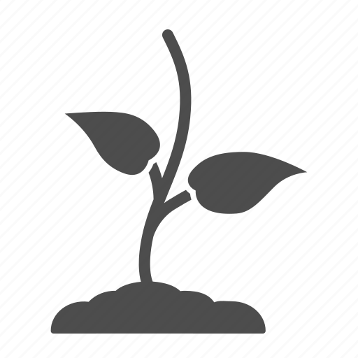 Growth, plant, seedling, sprout, leaf, grow icon - Download on Iconfinder