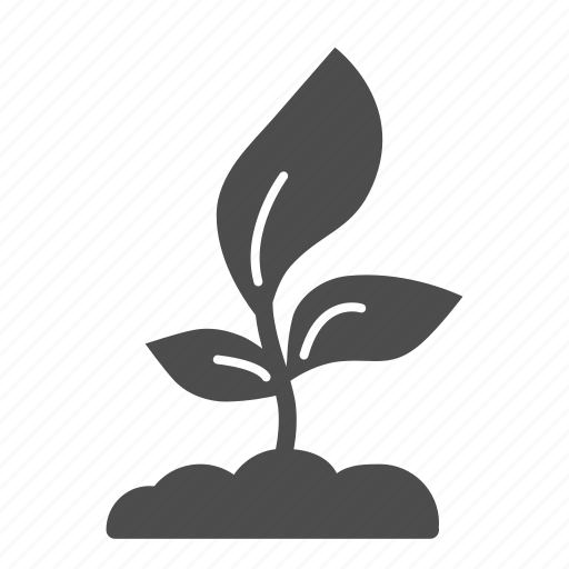 Plant, seedling, growing, grow, leaf, floral icon - Download on Iconfinder