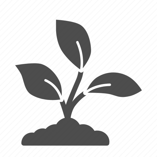 Plant, growing, seed, leaf, floral, garden icon - Download on Iconfinder