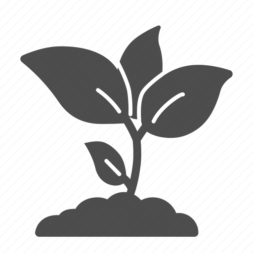 Plant, seedling, growing, soil, leaf, garden, floral icon - Download on Iconfinder