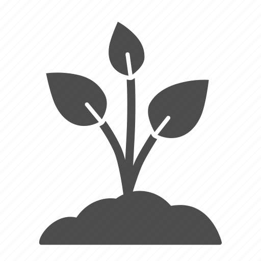 Plant, seedling, growing, leaf, garden icon - Download on Iconfinder