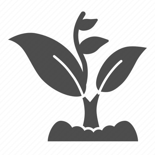 Sprout, plant, ecology, grow, leaf, garden icon - Download on Iconfinder