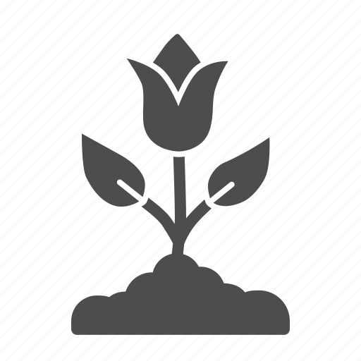 Tulip, flower, plant, floral, leaf, growth icon - Download on Iconfinder
