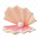pearl, shell, pearl shell, ocean, animal, decoration 