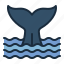 whale, ocean, sea, water, whale tail 