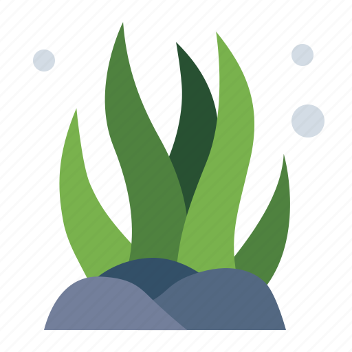 Seaweed, plant, ocean, sea, water icon - Download on Iconfinder