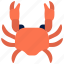 crab, animal, sealife, crustacean, ocean 