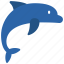 dolphin, mammal, sealife, aquatic, animal