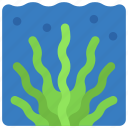 seaweed, ocean, sealife, plant, nautical