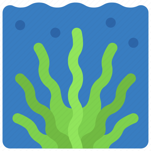 Seaweed, ocean, sealife, plant, nautical icon - Download on Iconfinder