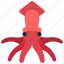 squid, cephalopod, mollusc, octopus, creature 