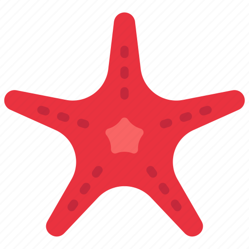 Starfish, sealife, ocean, creature, mammal icon - Download on Iconfinder