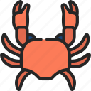 crab, animal, sealife, crustacean, ocean
