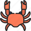 crab, animal, sealife, crustacean, ocean 